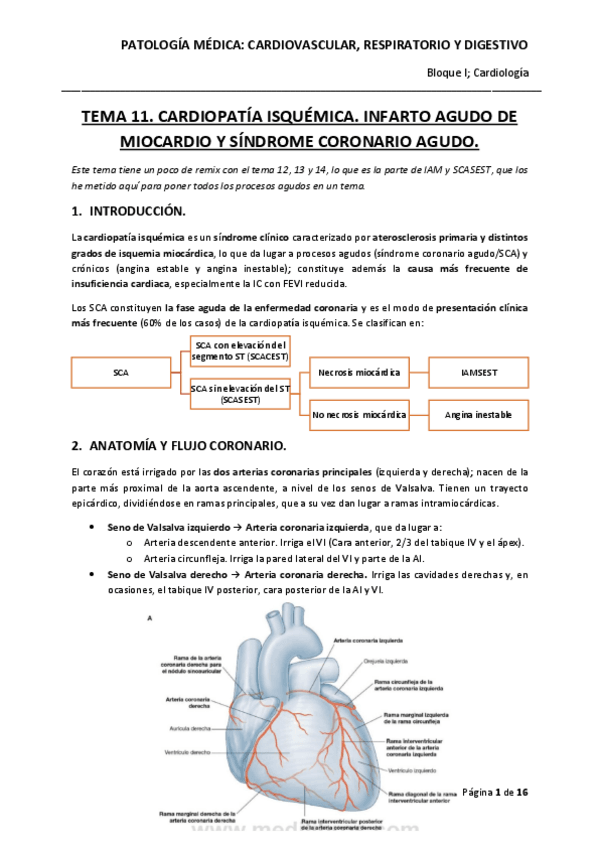 Miniatura del documento Tema-11.pdf
