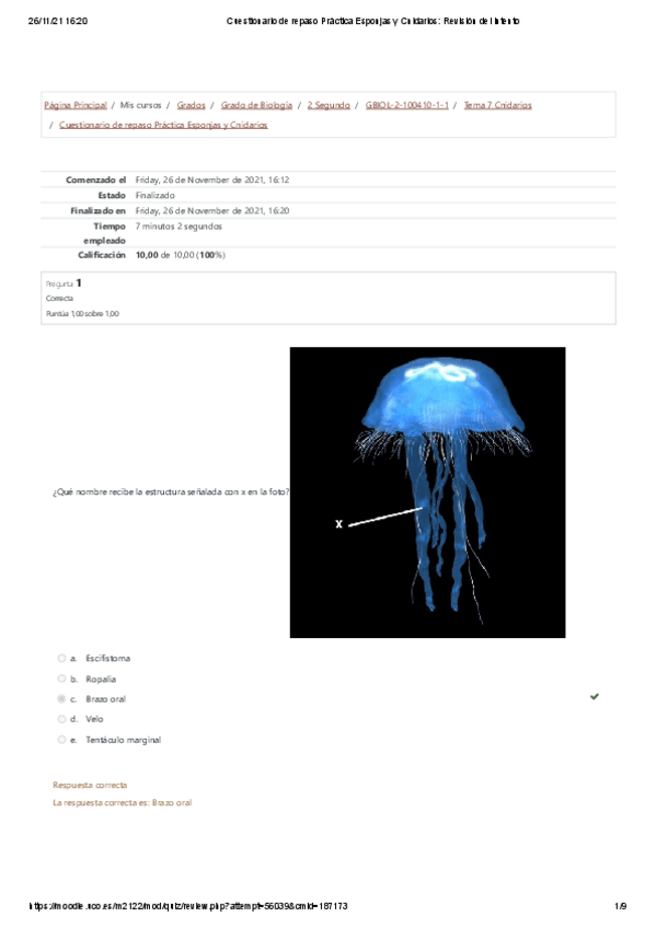 Miniatura del documento Cuestionario-de-repaso-Practica-Esponjas-y-Cnidarios-Revision-del-intento.pdf