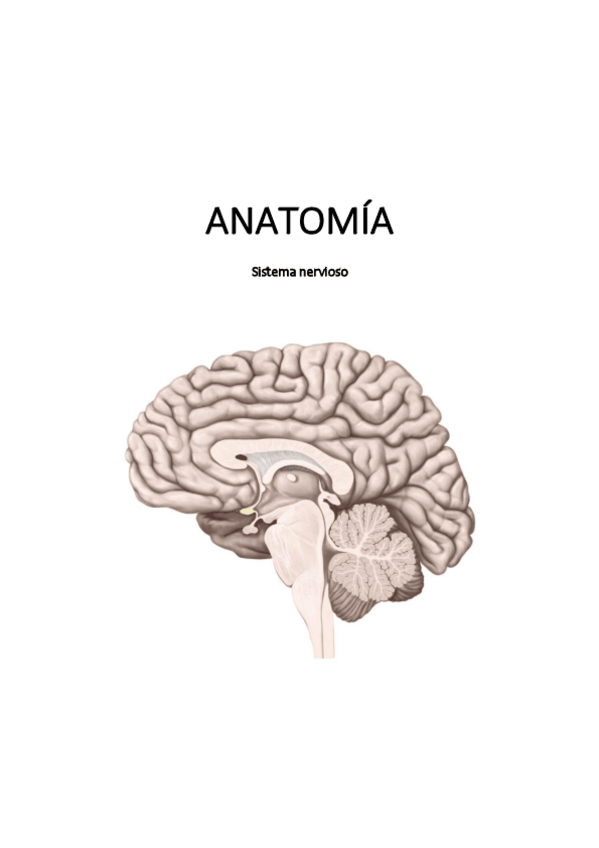 Miniatura del documento anato-imprimir.pdf