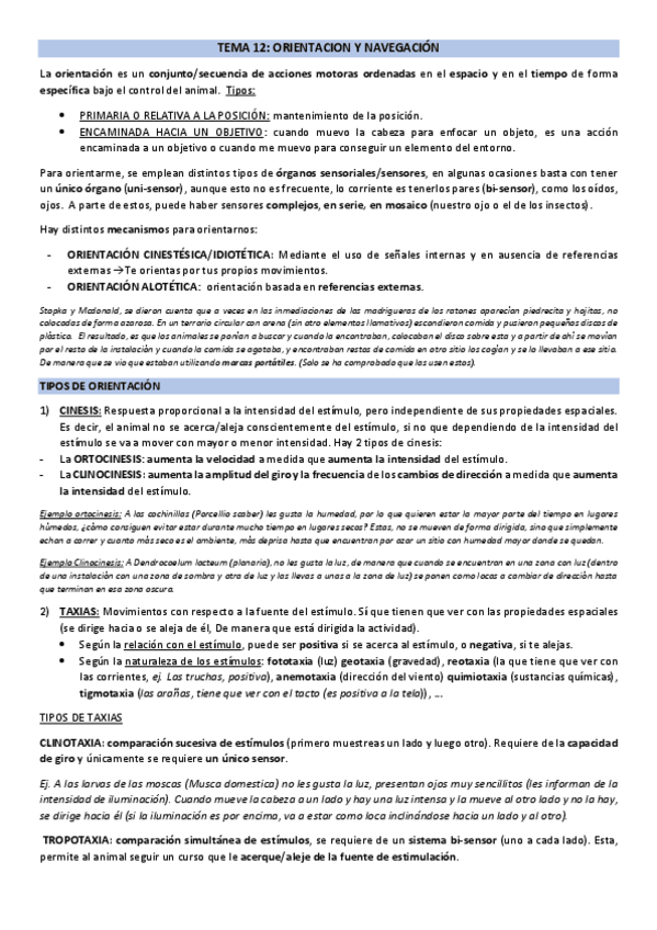 Miniatura del documento T12-ORIENTACION-BC.pdf