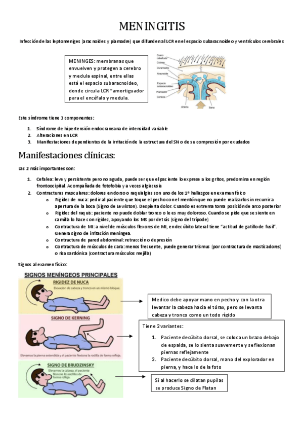 Miniatura del documento MENINGITIS.pdf