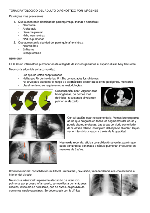 Miniatura del documento dx-UP5.pdf