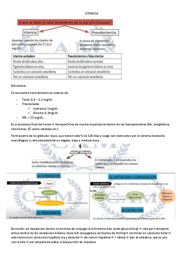 Miniatura del documento HIGADO-2.pdf