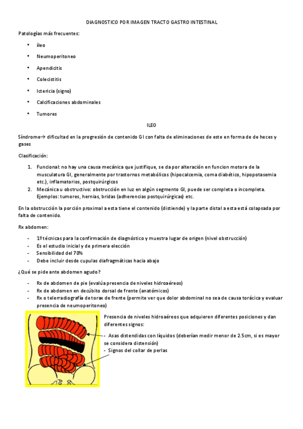 Miniatura del documento DxI.pdf