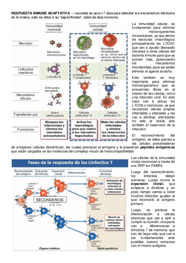 Miniatura del documento RIA-CELULAR.pdf