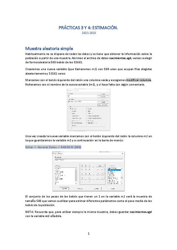 Miniatura del documento Practicas-3-y-4Estimacion.pdf