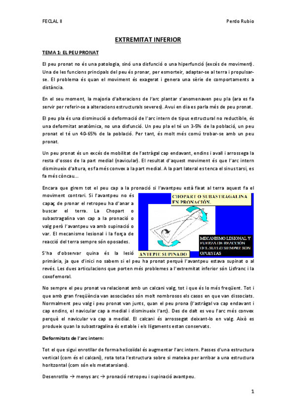 Miniatura del documento EEII-Pedrito-FINAL.pdf