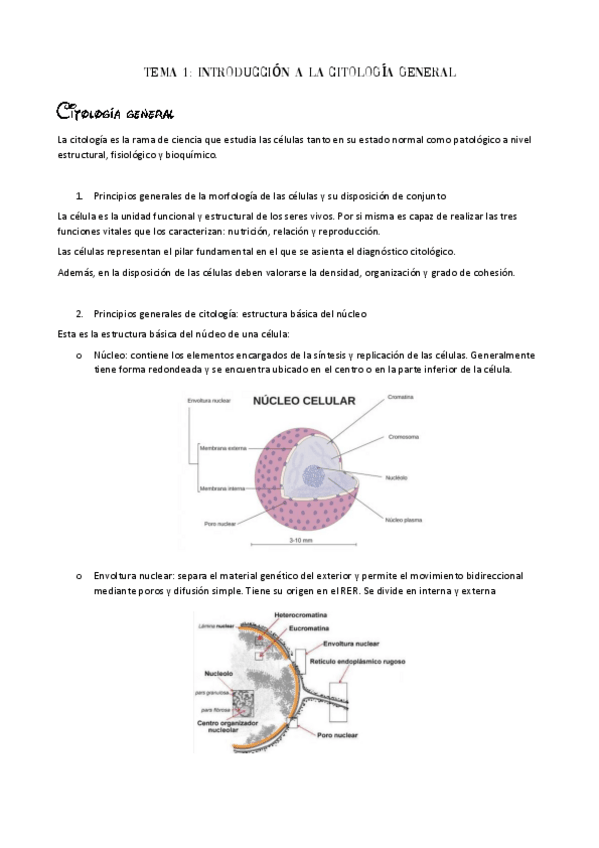 Miniatura del documento Citologia-general.pdf