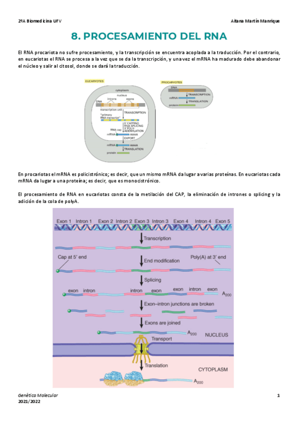 Miniatura del documento Tema-8-Procesamiento-del-RNA.pdf