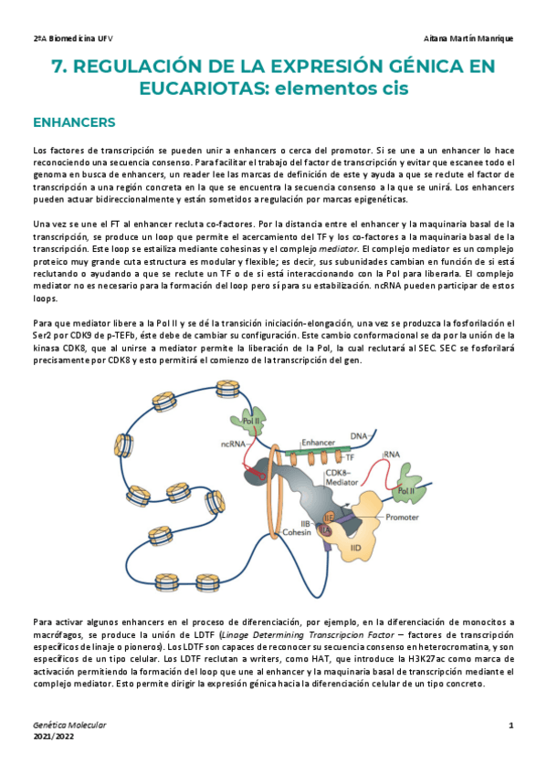 Miniatura del documento Tema-7-Regulacion-Elementos-Cis.pdf