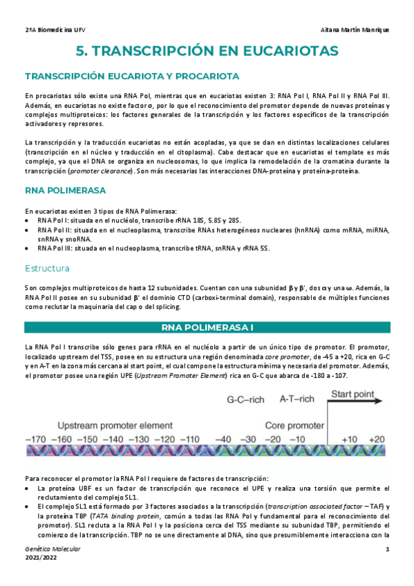 Miniatura del documento Tema-5-Transcripcion-Eucariota.pdf