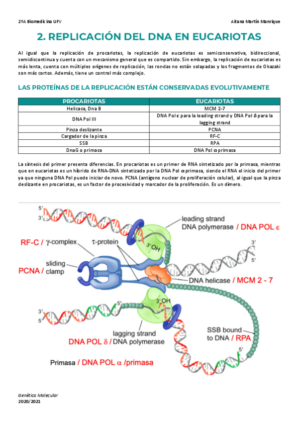 Miniatura del documento Tema-2-Replicacion-Eucariota.pdf