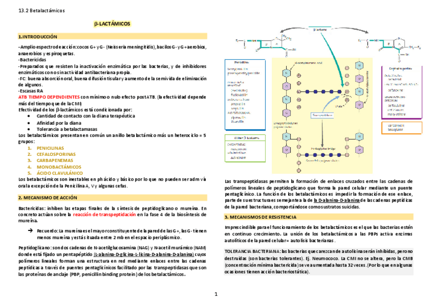 Miniatura del documento 13.pdf