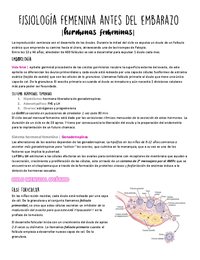 Miniatura del documento FisiologAa-femenina-antes-del-embarazo.pdf