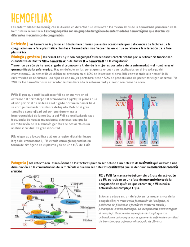 Miniatura del documento HEMOFILIAS.pdf