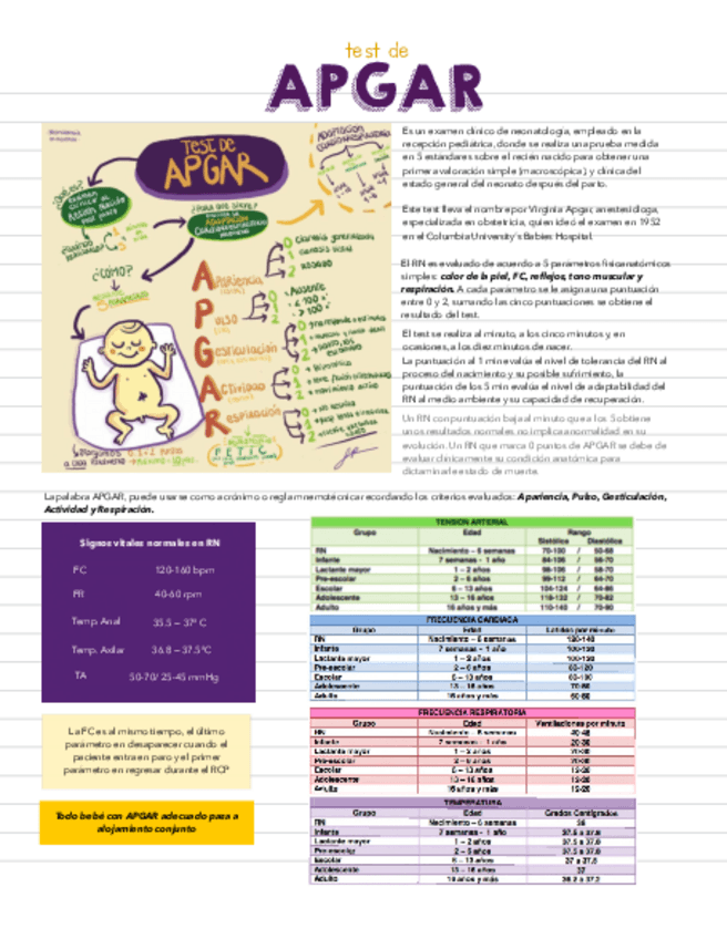 Miniatura del documento ESCALAS-NEONATALES.pdf