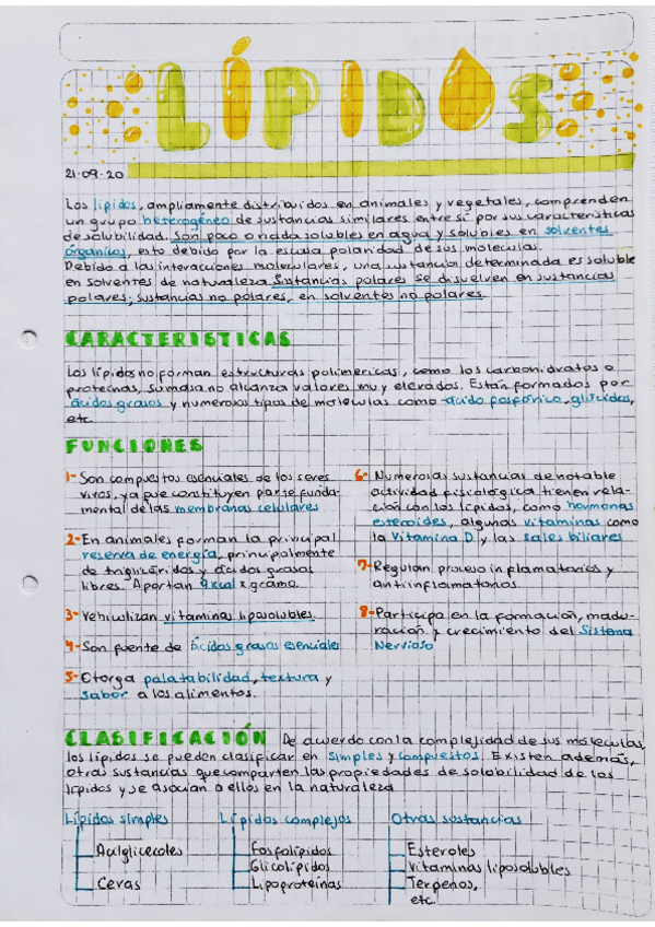 Miniatura del documento Lipidos.pdf