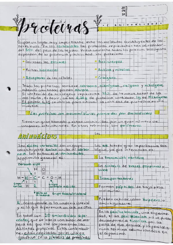Miniatura del documento Proteinas.pdf