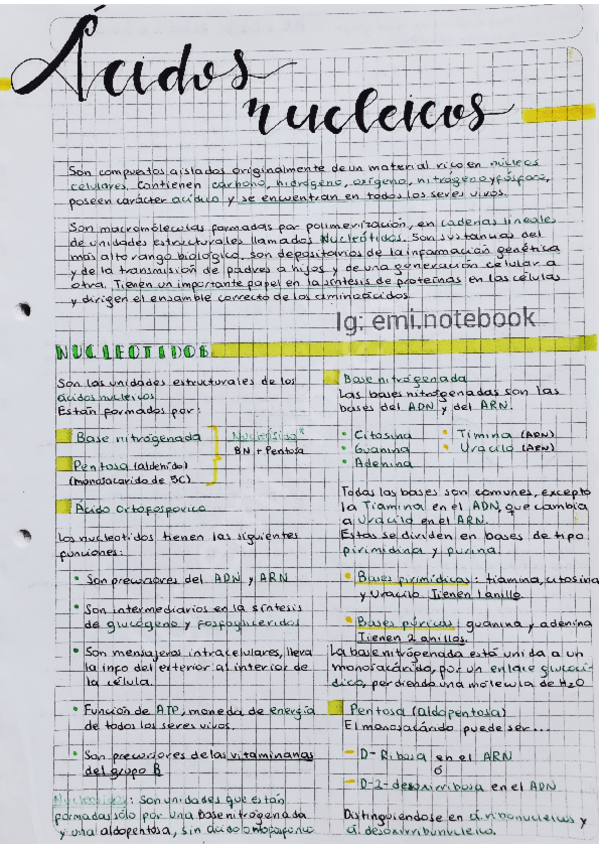 Miniatura del documento Acidos-Nucleicos-y-Enzimas.pdf
