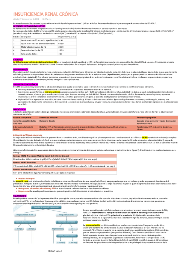 Miniatura del documento IRC.pdf