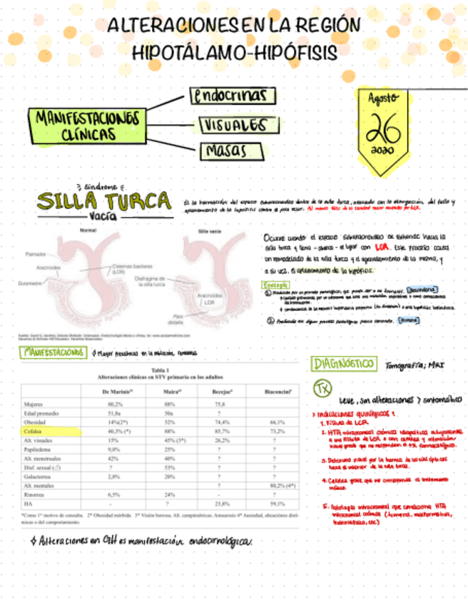 Miniatura del documento Alteraciones-en-la-region-hh.pdf