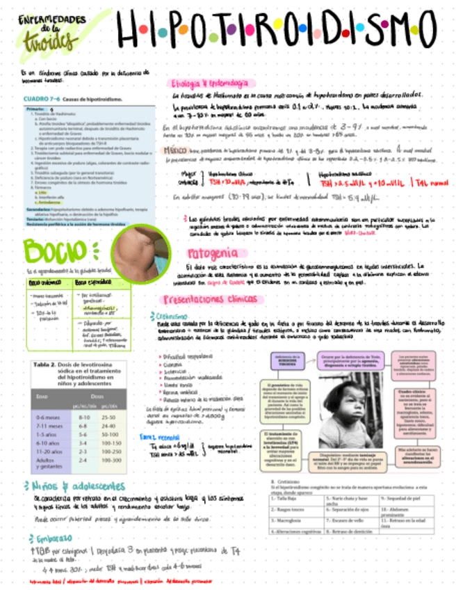 Miniatura del documento hipotiroidismo.pdf