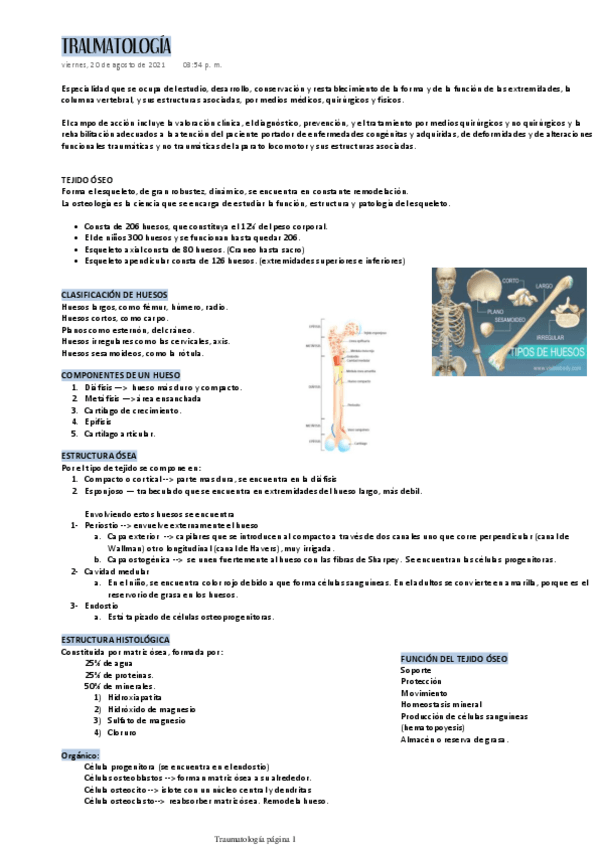 Miniatura del documento Traumatologia-repaso-primer-parcial.pdf