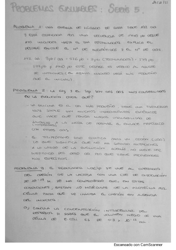 Miniatura del documento Serie-5-problemas.pdf