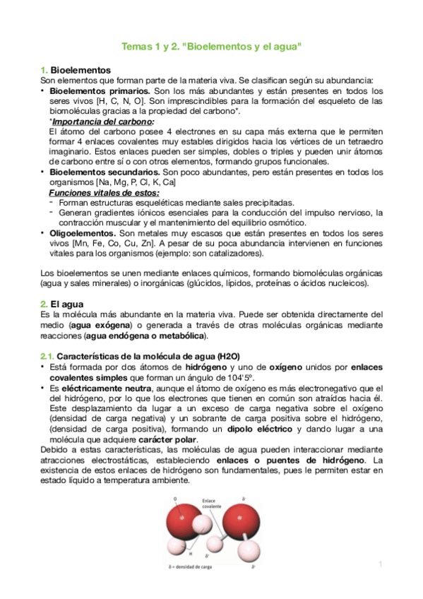 Miniatura del documento Contenido.pdf
