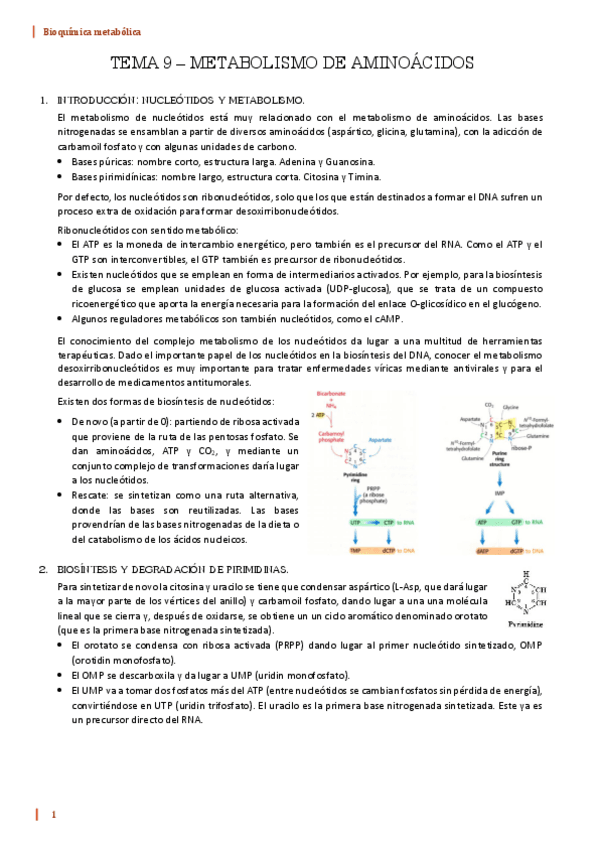 Miniatura del documento TEMA-9-BQ.pdf