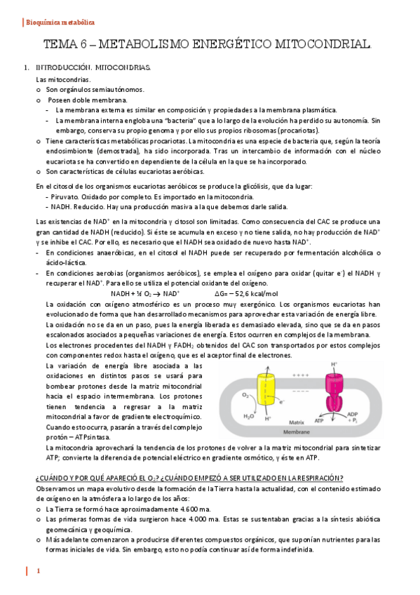 Miniatura del documento TEMA-6-BQ.pdf