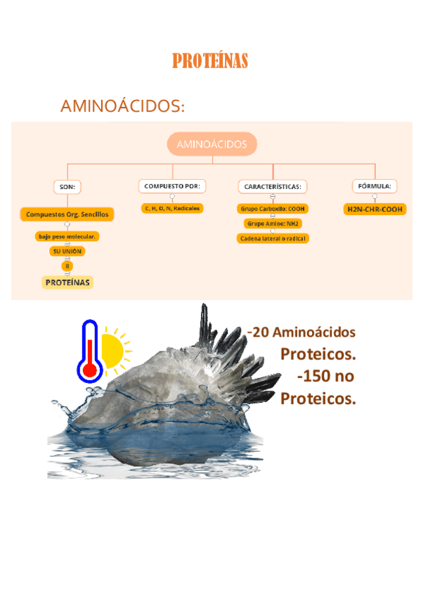 Miniatura del documento PROTEINAS-Y-LA-CELULA.pdf
