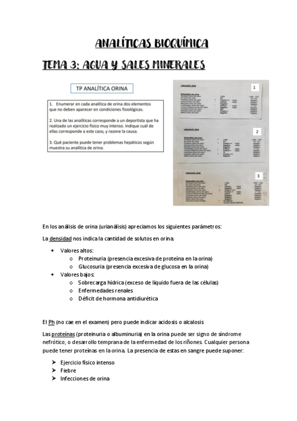 Miniatura del documento Analiticas-prueba-apuntes.pdf