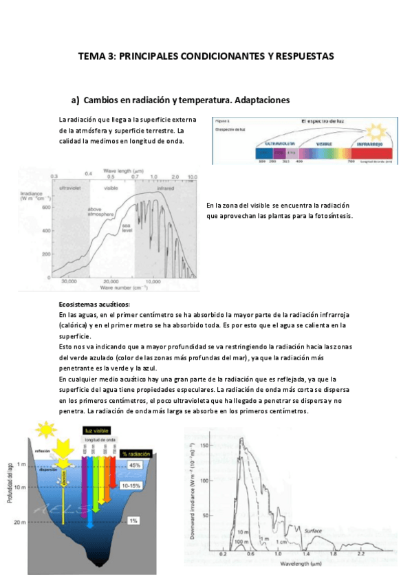 Miniatura del documento APUNTES-CONDICIONANTES-Y-RESPUESTAS.pdf