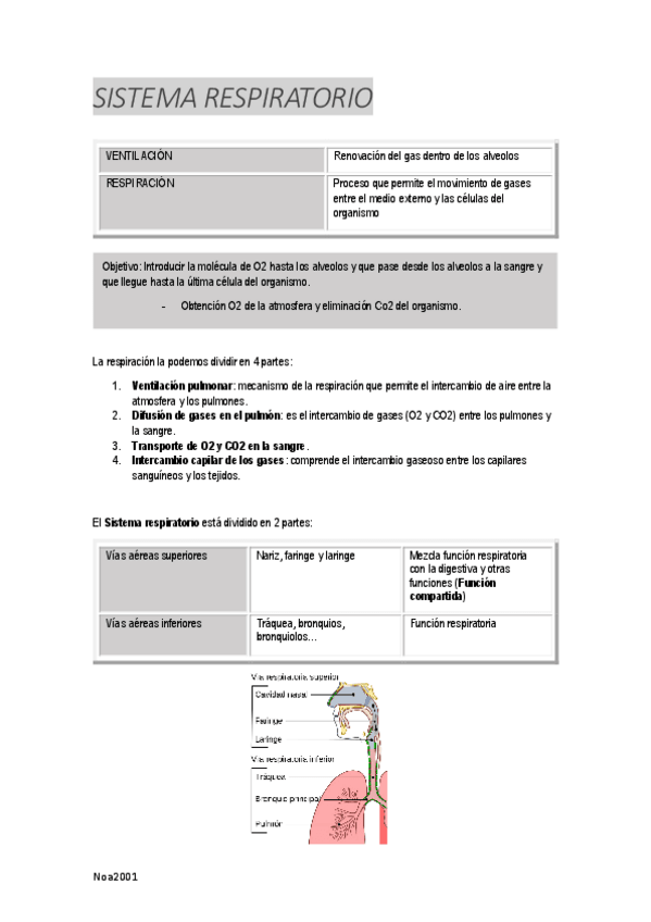 Miniatura del documento SISTEMA-RESPIRATORIO.pdf