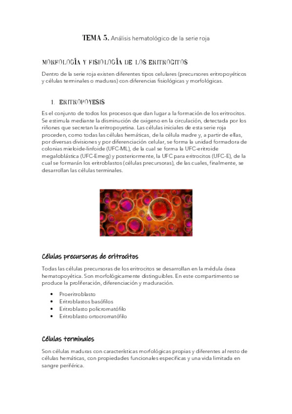 Miniatura del documento Tema-5.pdf