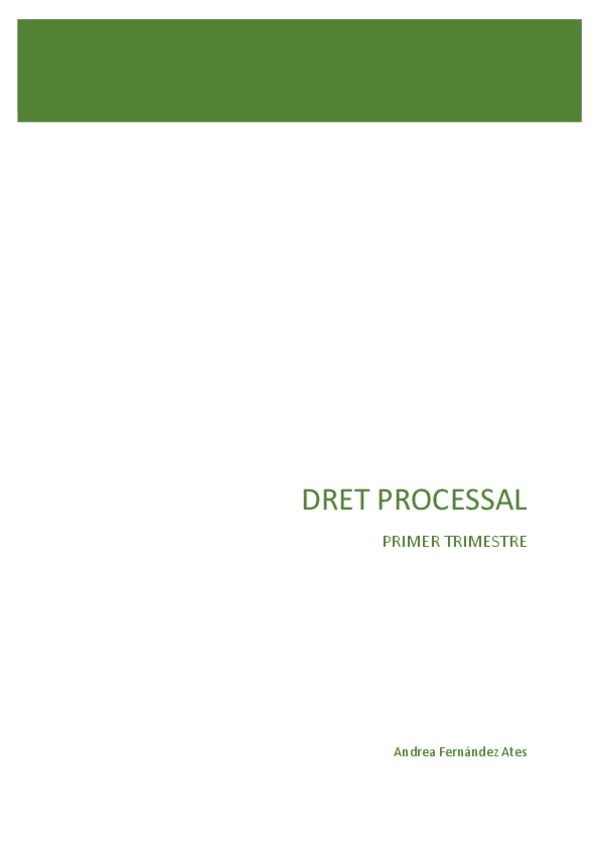 Miniatura del documento DRET-PROCESSAL-FINAL.pdf