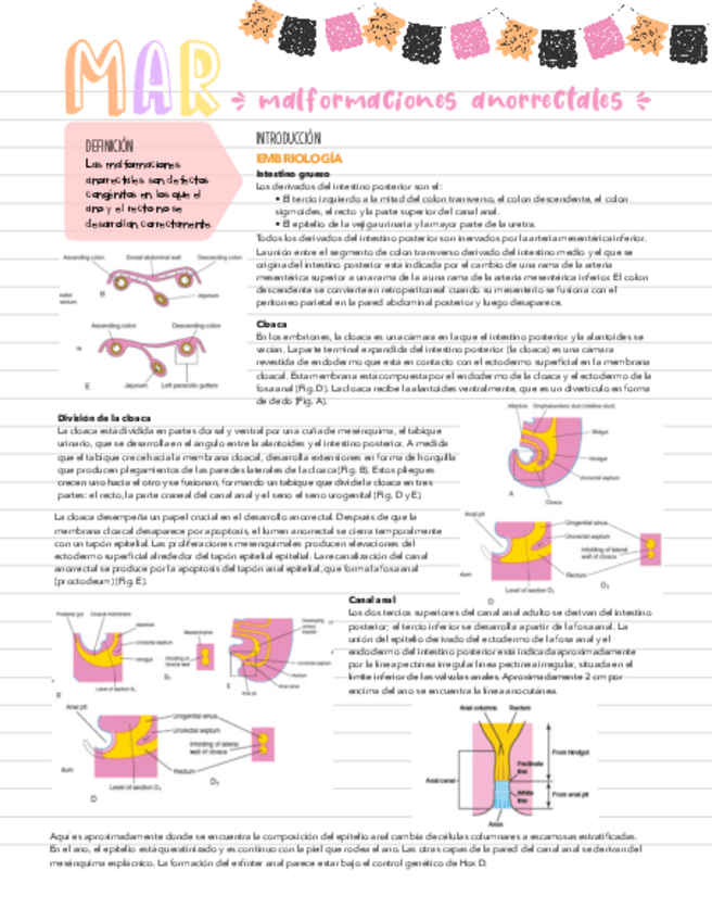 Miniatura del documento MAR.pdf