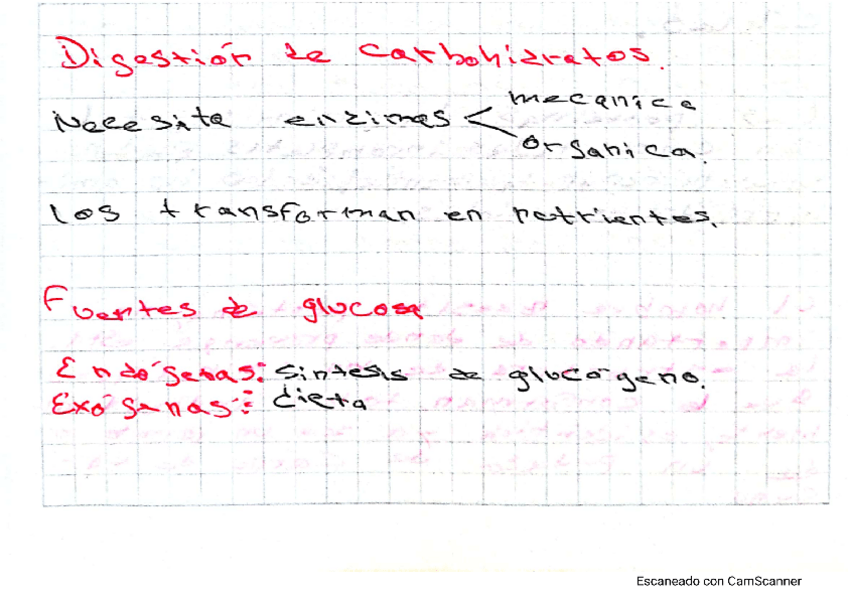 Miniatura del documento digestion-de-Carbohidratos.pdf