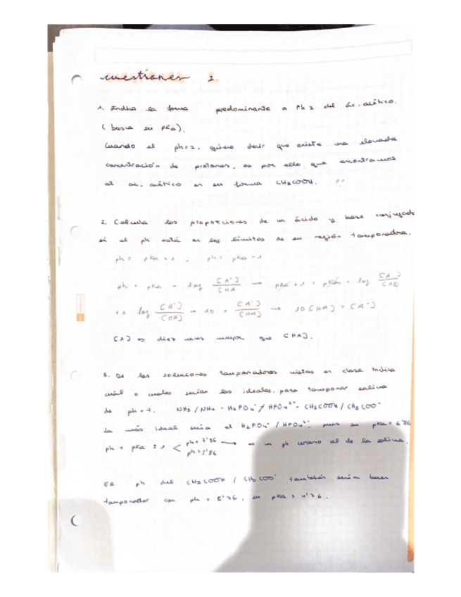 Miniatura del documento proporcion.pdf