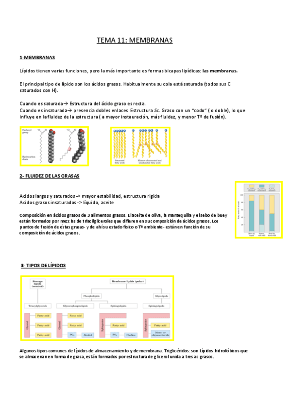 Miniatura del documento Tema-11.pdf