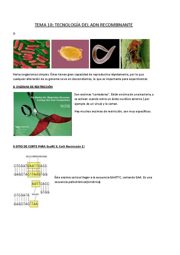 Miniatura del documento Tema-10.pdf