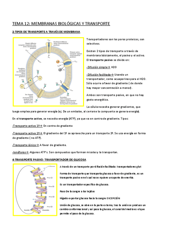 Miniatura del documento Tema-12.pdf