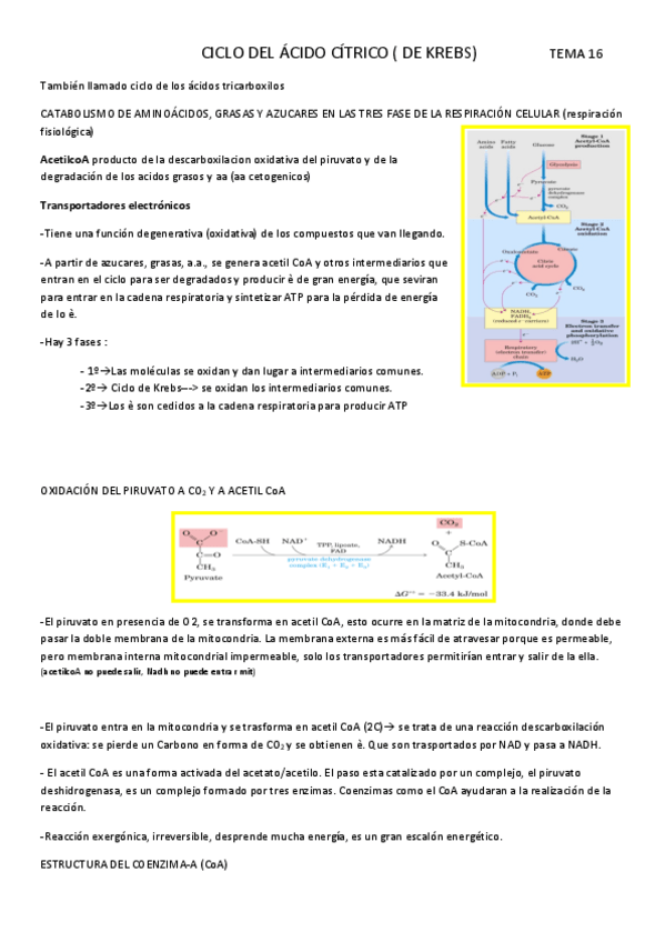 Miniatura del documento Tema-16.pdf