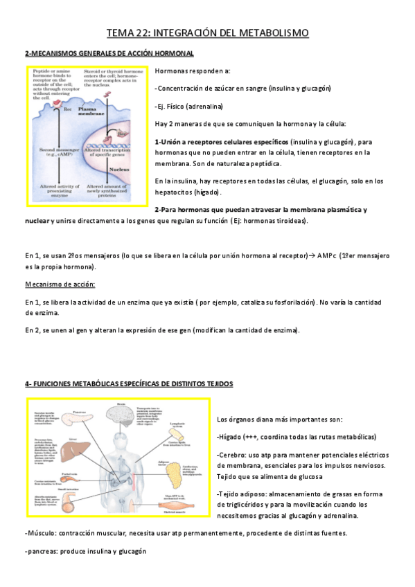 Miniatura del documento Tema-22.pdf