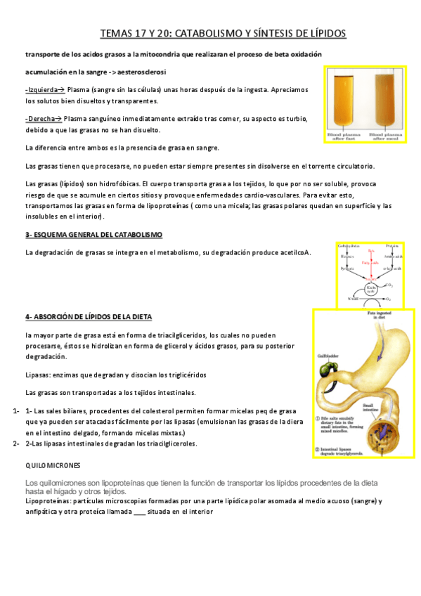 Miniatura del documento Temas-17-y-20.pdf