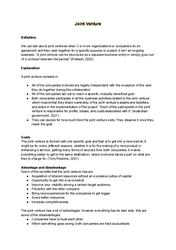 Miniatura del documento Joint-venture.pdf