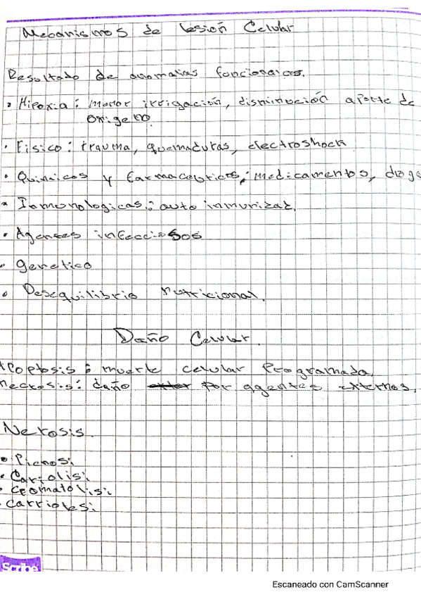 Miniatura del documento fisiopatologia6.pdf