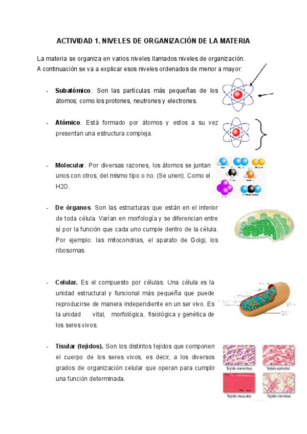 Miniatura del documento ACTIVIDAD-1.pdf