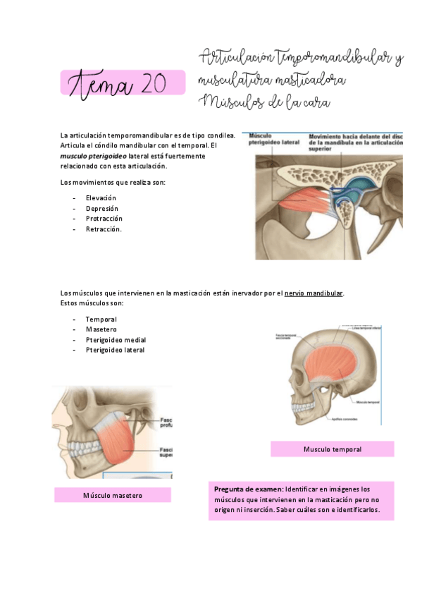 Miniatura del documento ANATOMIA-T20.pdf